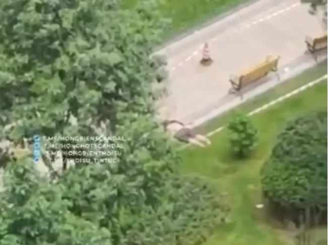 Dạo gần đây luôn có nhiều vụ tự vẫn họ thường chọn cách gieo mình từ các toà nhà