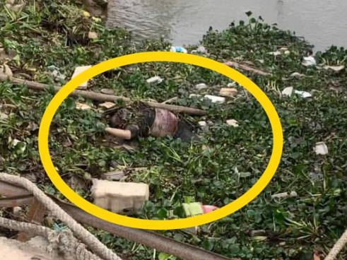 Thuỷ Nguyên – Hải Phòng: Phát hiện một thi thể nam trôi vào bờ sông