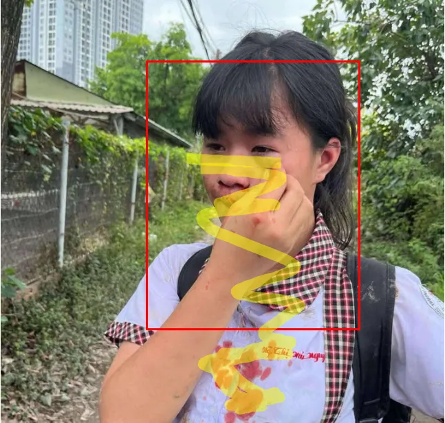 BLHĐ tại 1 trường THCS ở Thủ Đức